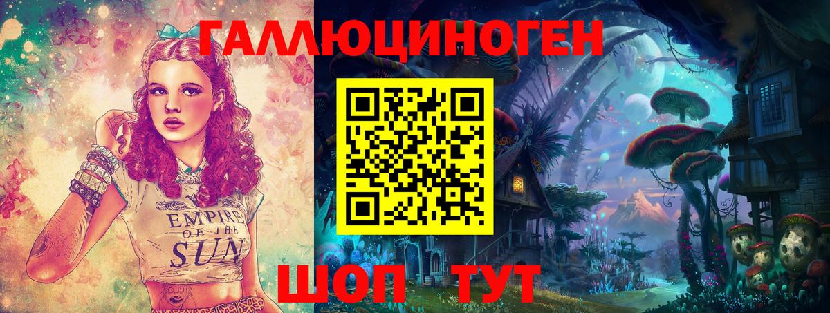 Шелехов  купить  цена  Вход с VPN  Галлюциногенные грибы GOLDEN TEACHER 